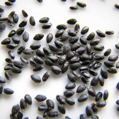 Dragon Fruit Seeds