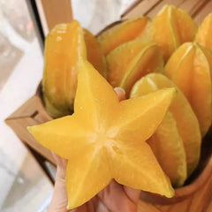 Sweet Starfruit Seeds-Four Seasons Potted