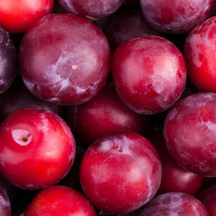 American Red Plum Tree Seeds for Planting Great Home Garden Gift