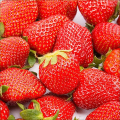 Giant Strawberry Fresca Everbearing Berries Indoor Non GMO Fruit Seeds