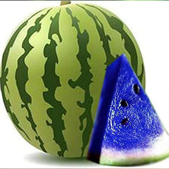 Rare Blue Watermelon Fruit Seed Sweet Juicy Fruits High Germination Rate
