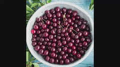 Romeo™ Cherry Bush
