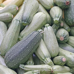 Zucchini Squash Seeds for Planting - Heirloom Packet with Instructions to Plant & Grow a Home Outdoor Garden – Great Gardening Gift, 1 Packet Approx 25 Seeds