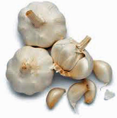 GARLIC BULB (1/2 Pound), FRESH CALIFORNIA SOFTNECK GARLIC BULB FOR PLANTING, EATING AND GROWING YOUR OWN GARLIC, COUNTRY CREEK BRAND