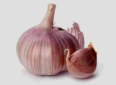 Garlic Bulb (6 Pack), Fresh Siberian HARDNECK Garlic Bulb for Planting and Growing Your OWN Garlic OR Eating