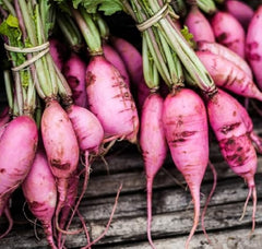 Radish Seeds for Planting – Non-GMO Heirloom Vegetable Seeds – Full Instruction Packets to Plant in Your Home Outdoor Garden – Gardening Gift – 100 Purple Plum Radish Seeds Per Pack (1 Packet)