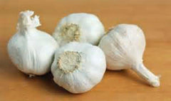 GARLIC BULB  FRESH CALIFORNIA SOFTNECK GARLIC BULB FOR PLANTING, EATING AND GROWING YOUR OWN GARLIC, COUNTRY CREEK BRAND