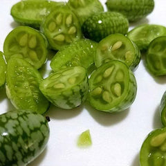 Mini Thumb Watermelon Fruit Vegetables Seeds