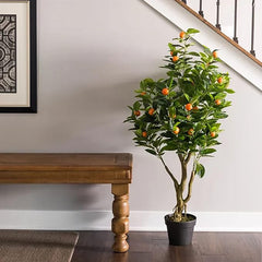 Bonsai Orange Tree Seed Delicious Sweet Fruit Juicy Beautiful Potted Plants Robust Flavor Easy Care