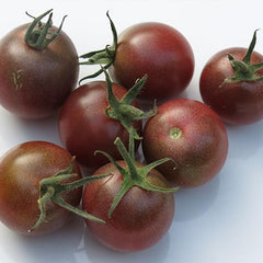 Vegetable Black Cherry Tomato For Planting Non GMO