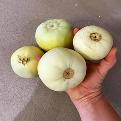 Bai Mibao Taiwan Melon Seeds White Thin-Wall Muskmelon