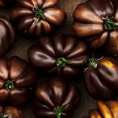 Black Tomato Seeds