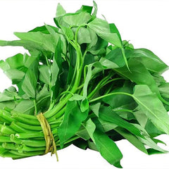 Kong Xin CAI Vegetable Seeds Water Spinach Kangkong Delicious Vegetable Seeds
