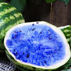 Rare Blue Watermelon Fruit Seed Sweet Juicy Fruits High Germination Rate