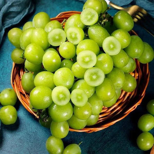 Shine Muscat Tree Seeds-Sunshine Rose Grape（Can be potted）