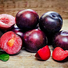 American Red Plum Tree Seeds for Planting Great Home Garden Gift