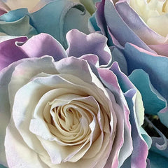 Rare Rose - Fairy Tale