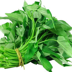 Kong Xin CAI Vegetable Seeds Water Spinach Kangkong Delicious Vegetable Seeds for Green Leaf Planting Garden Non-GMO Choy Ong Seed