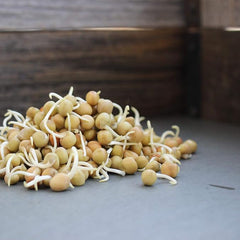 Dun Pea Seeds: Peas Sprouting Seeds for Vegetable Gardening, Cover Crop, Microgreen Pea Shoots