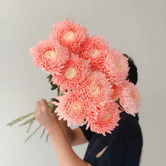Rare Blue and White Porcelain Pink Peony Chrysanthemum Seeds