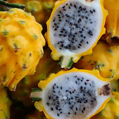 Yellow Dragon Fruit Seed Rare Color Pitaya Fruit Sweet Juicy Fruits Rich in Vitamin