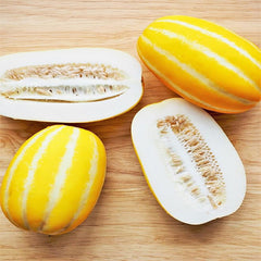 Korean Melon Seeds Chamoe Yellow White Oriental Japanese Cantaloupe