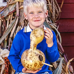 Birdhouse Gourd Seed