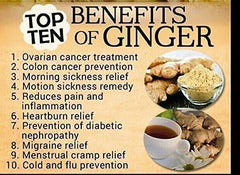 GINGER - -Grow Your own,Grow Indoors or Outdoors(1/2 Pound)
