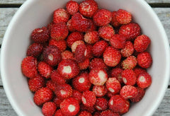 250+ Wild Strawberry Seeds Fragaria Vesca Fresh Fruits Garden Planting