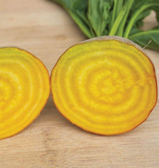 Touchstone Gold Beet 200 Seeds - Seedsplant