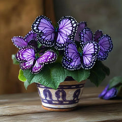 Butterfly Begonia Spots-Starry Purp