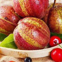 Pyrus pyrifolia 'Nijisseiki'Rainbow Pear Seeds