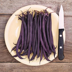 Bean Amethyst