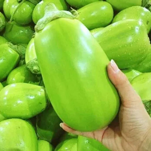Green Can Eggplant Seeds