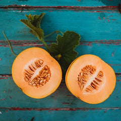 Minnesota Midget Muskmelon Great for Containers Sweet Easy to Grow