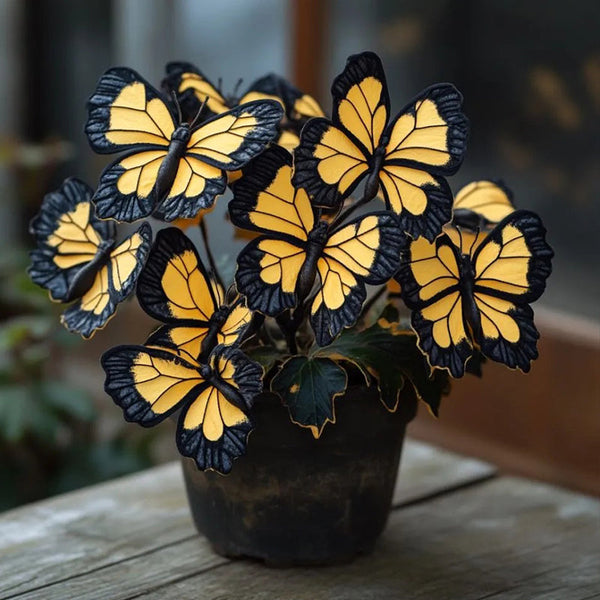 Butterfly Begonia Autumn sunset