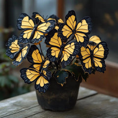 Butterfly Begonia Autumn sunset