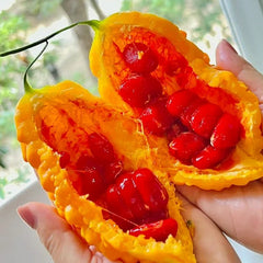 Lai Grape Seeds for Garden Bitter Gourd Seeds