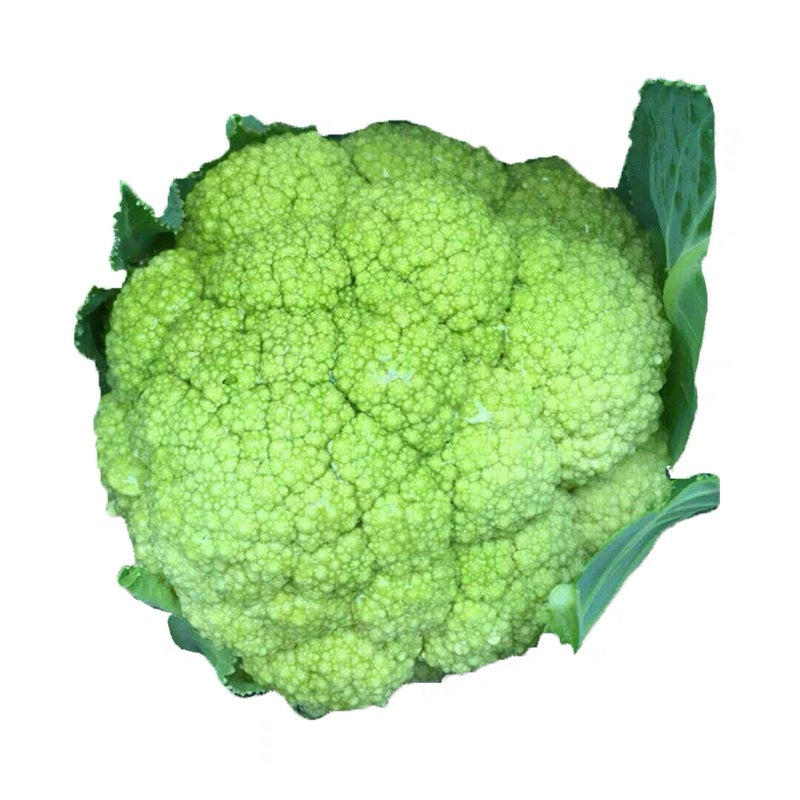 Candid Charm Hybrid Green Cauliflower Real Seeds guaranteed germination