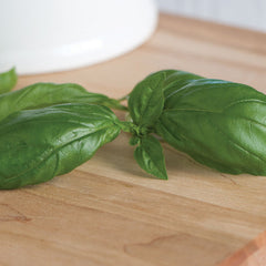 Genovese Basil Seed