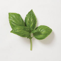 Genovese Basil Seed