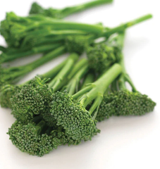 Aspabroc F1 Broccolini 200 Seeds