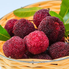Myrica Rubra Seed Red Bayberry Sweet Healthy Juicy Fruit Great Taste Strawberry an Exciting New Addition