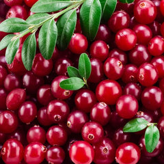 Vaccinium Macrocarpon Cranberry  Garden Fruit Plants