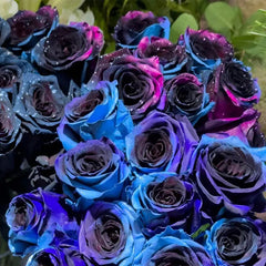 Starry Sky Roses