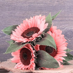 Pink Sunflower Seeds for Planting, Easy to Plant and Grow, Outdoor Garden and Bonsai Plants Helianthus annuus Seeds