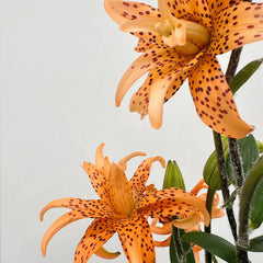 Old-Favorite Tiger Lily Seeds