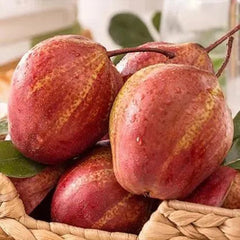 Pyrus pyrifolia 'Nijisseiki'Rainbow Pear Seeds