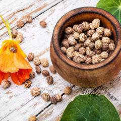 Mixed Colors Nasturtium Seeds