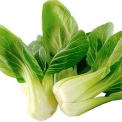 Bok Choy Seeds for Planting Cải Thìa AKA. Pak Choi, Chinese Cabbage, Bok Choi